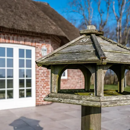 Luethjes Friesenhaus Dom wakacyjny